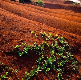 EA或将考虑推出类似COD战区的免费制《战地》游戏